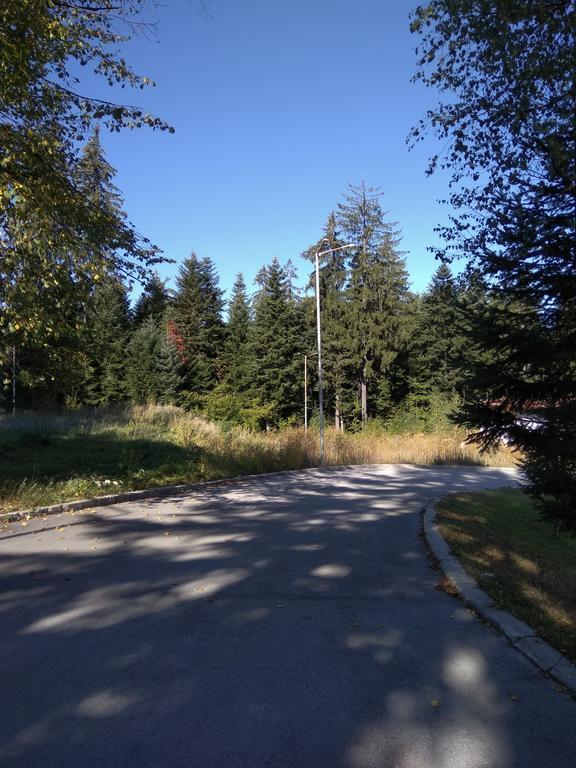 Apartment In Borovets Gardens C17 Kültér fotó